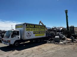 Best Hoarding Cleanup  in Waverly, IL