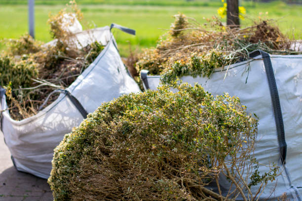 Best Construction Debris Removal  in Waverly, IL