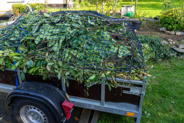 Best Scrap Metal Removal  in Waverly, IL